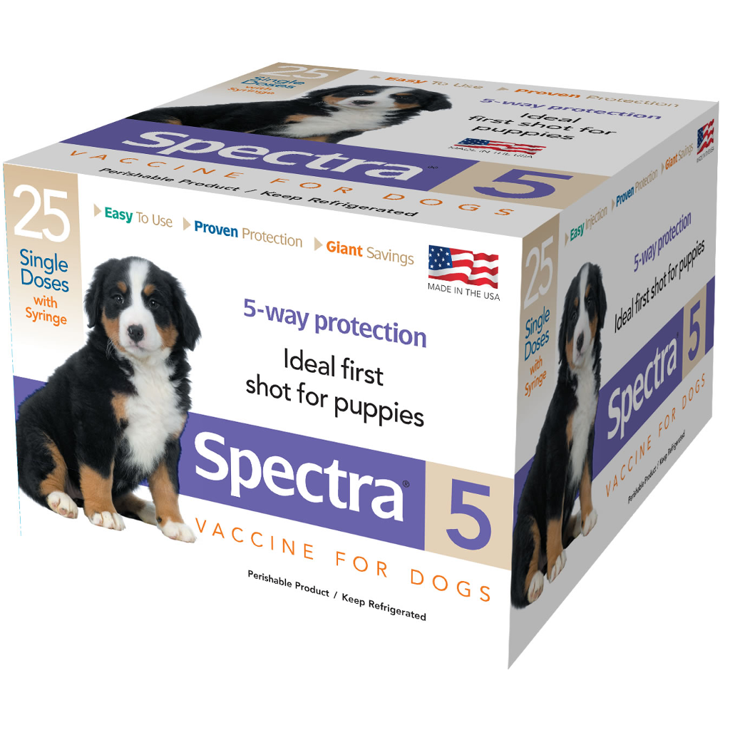 Spectra for dogs fashion